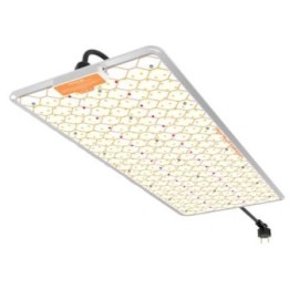 ignator heroled 240W Matillaplant