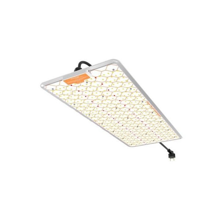ignator heroled 240W Matillaplant