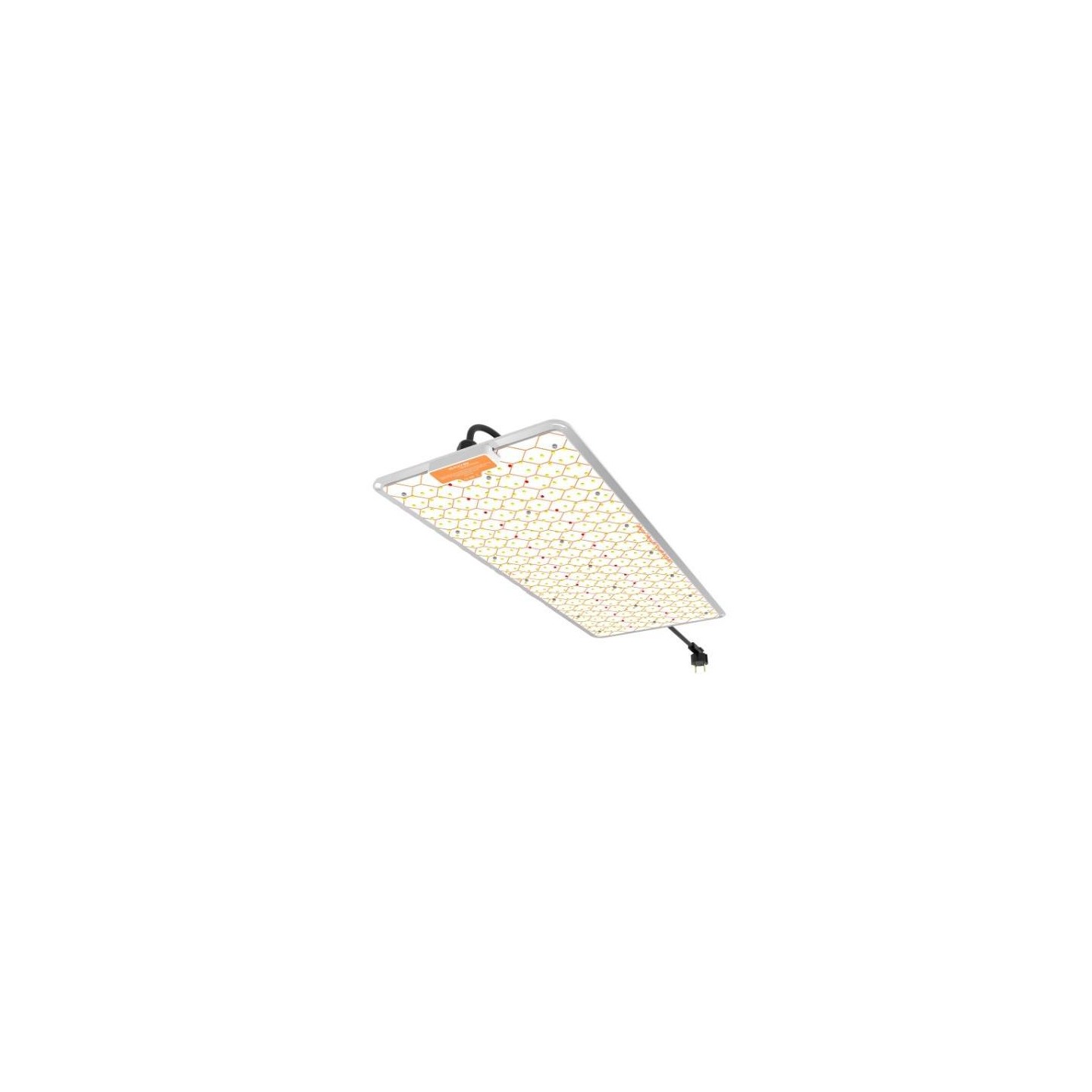 ignator heroled 240W Matillaplant