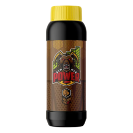 Lion Power NPK Golden Lion