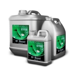 B1 Boost de Cyco