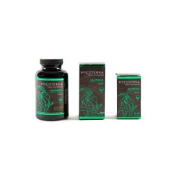 Quimera Líquido Mycoterra