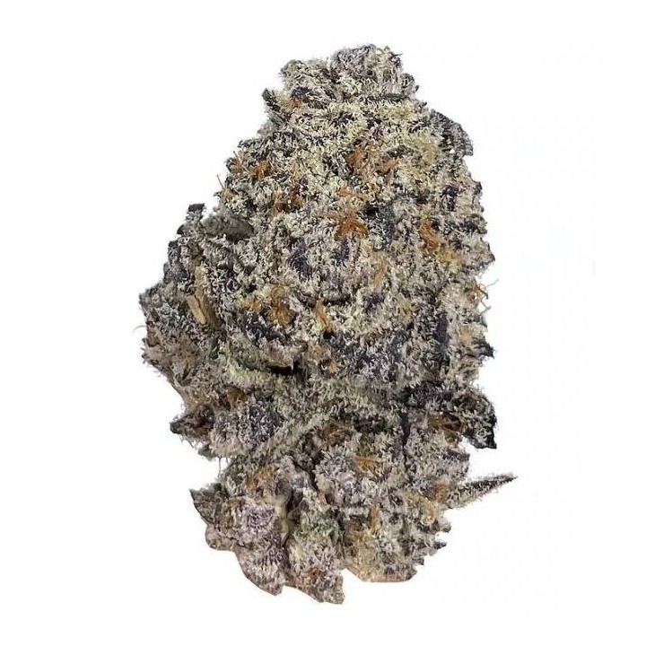 Original Oreoz