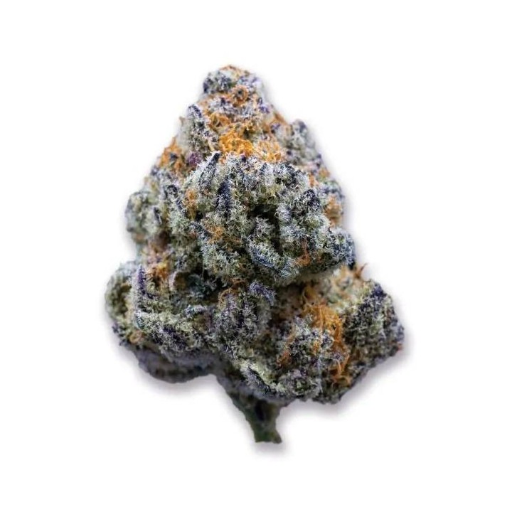 Platinum Mimosa Cookies
