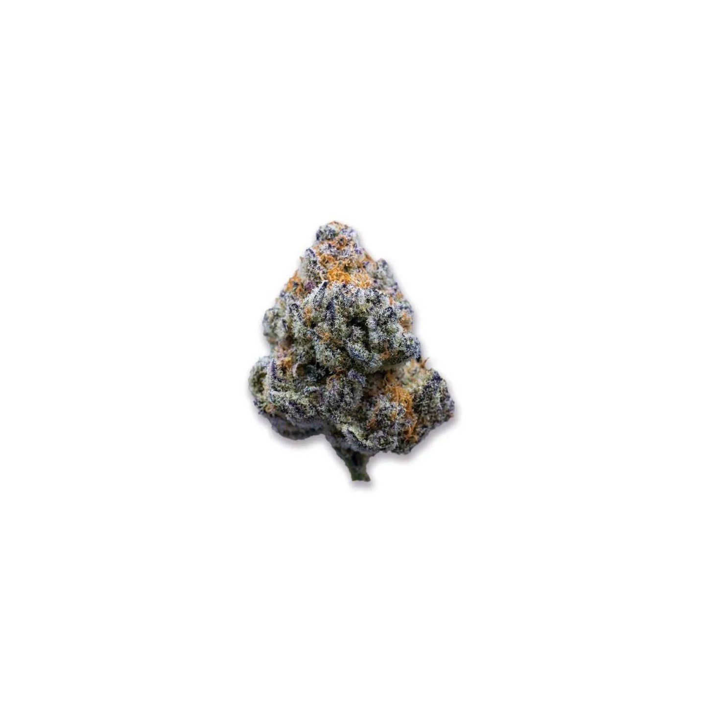 Platinum Mimosa Cookies