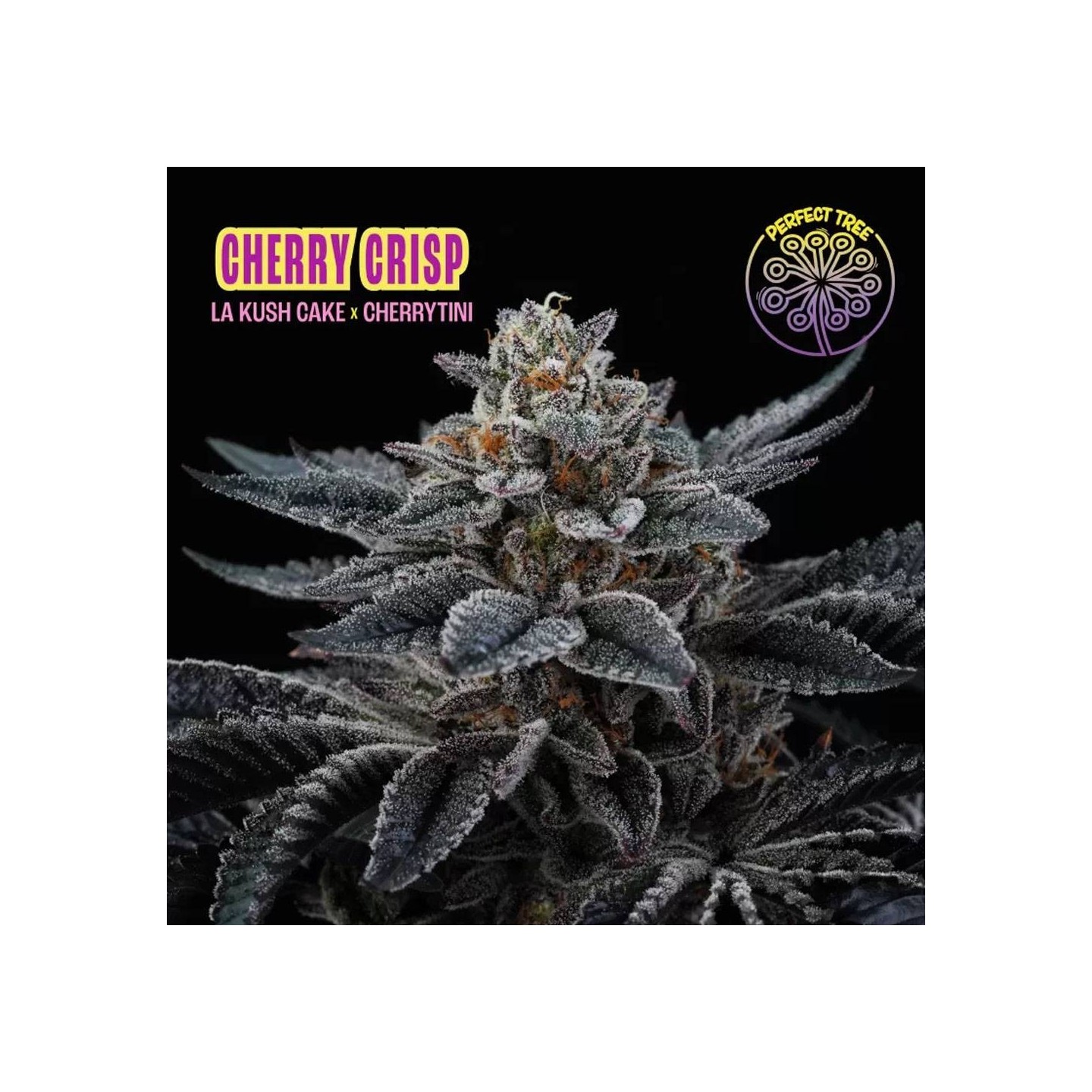 Cherry Crisp