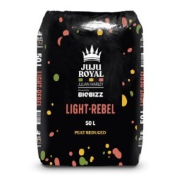 Juju Royal Light Rebel