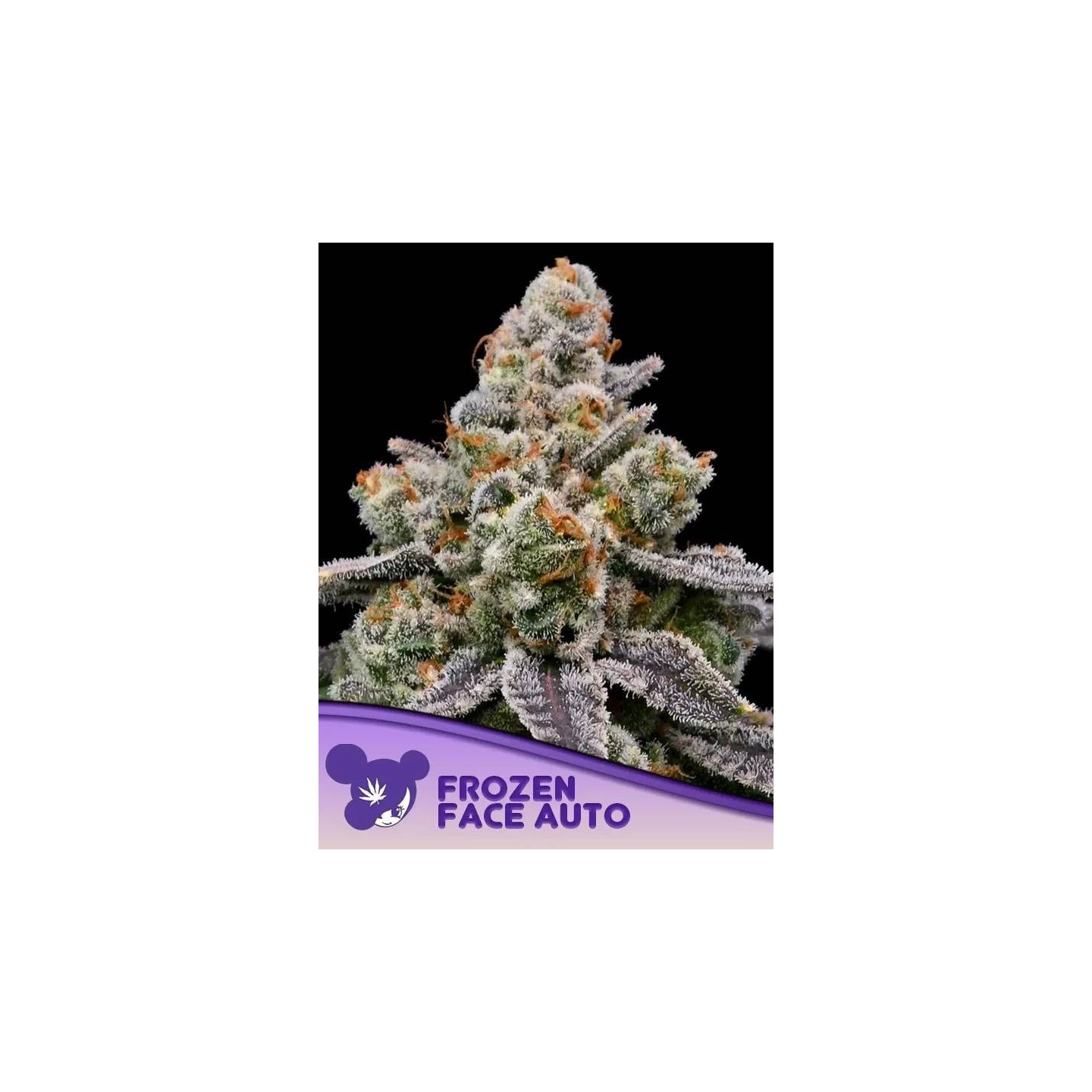 Frozen Face Auto