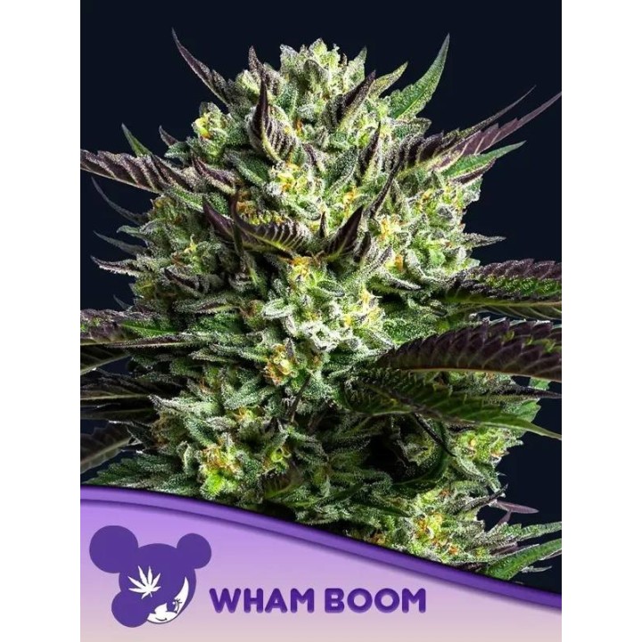 Wham Boom