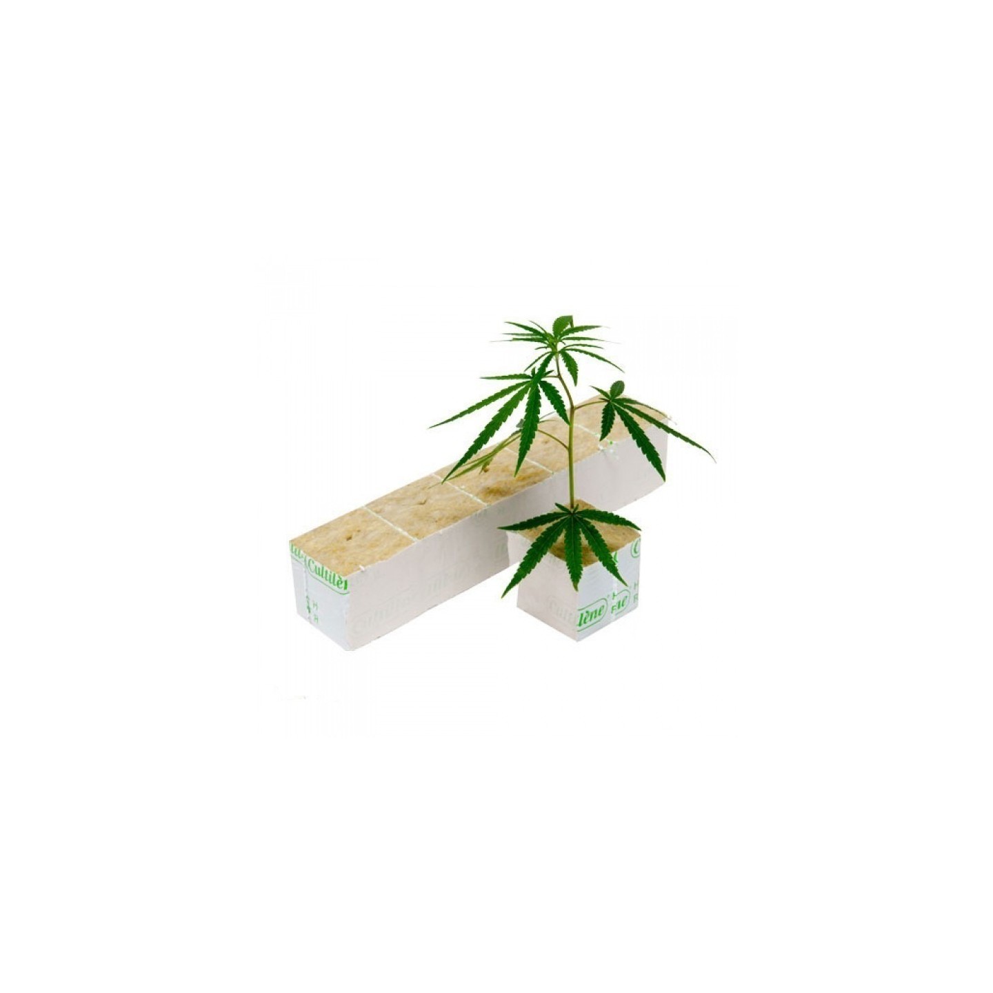 Cubo Lana De Roca Cultilene 40 x 40 x 40 mm (2700 Unidades) de