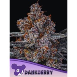 Dank berry