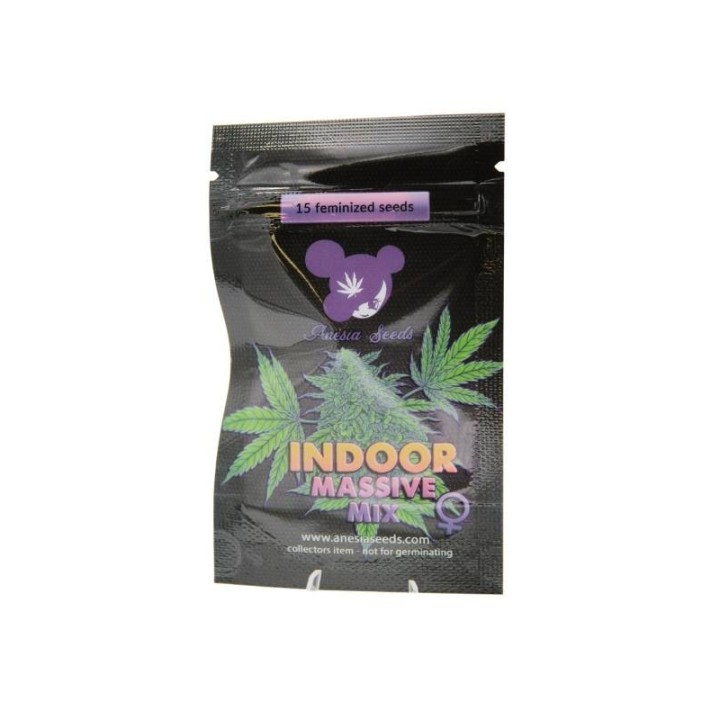 Indoor Massive Mix