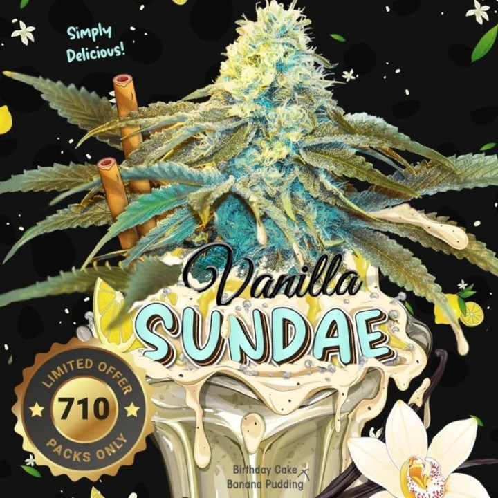 Vainilla Sundae