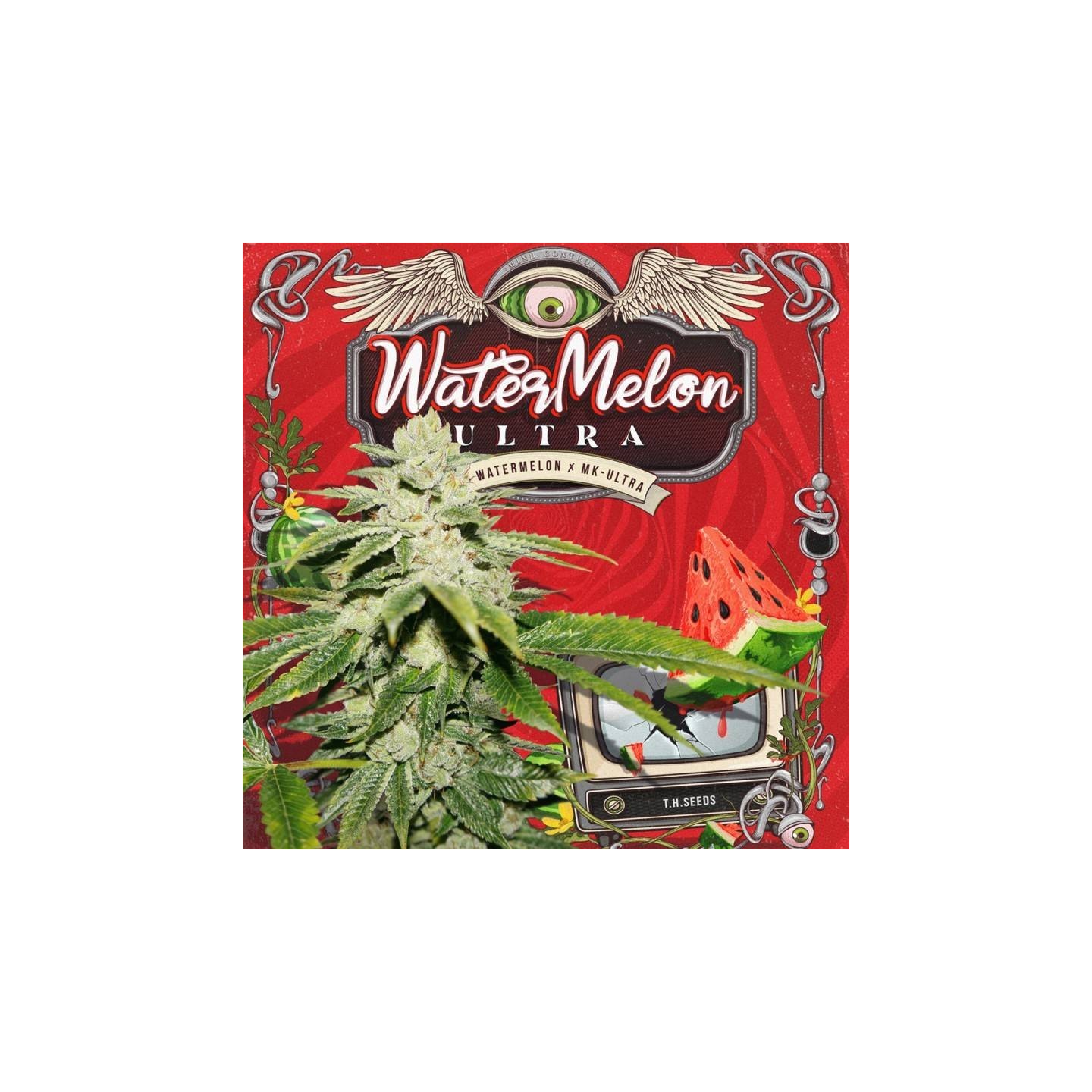 Watermelon Glue