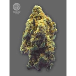 TB Kush