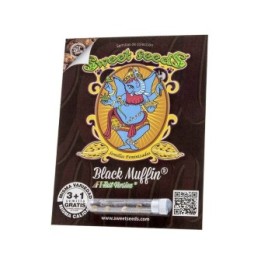 Black Muffin F1 Fast version