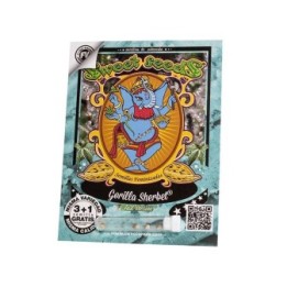 Gorilla Sherbet F1 Fast Version
