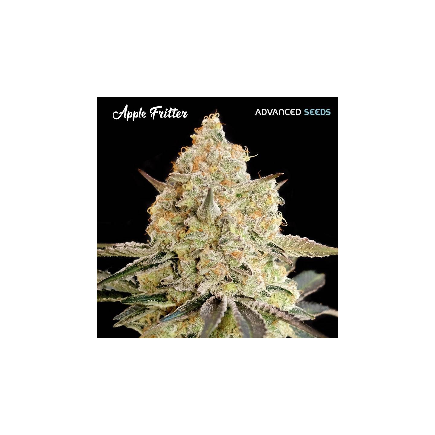 Apple Fritter