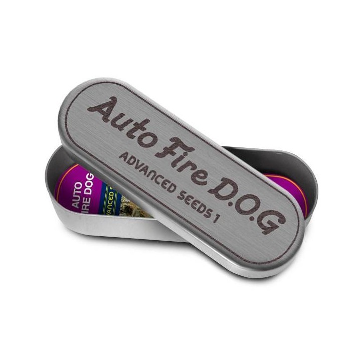 Fire Dog Auto