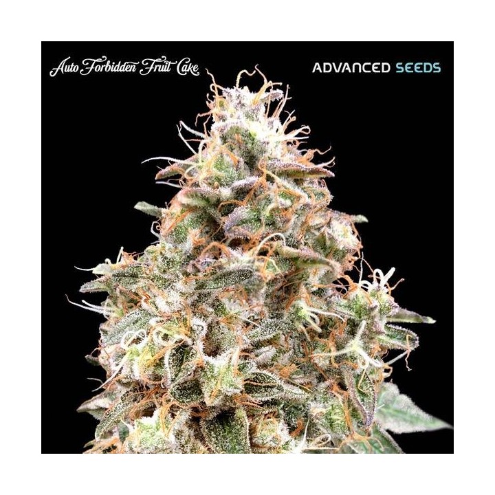 Forbidden Fruit Auto