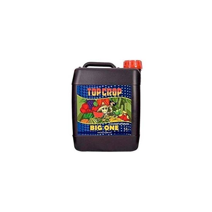 BIGONE TOP CROP 5L MATILLAPLANT