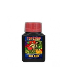 BIGONE TOP CROP MATILLAPLANT
