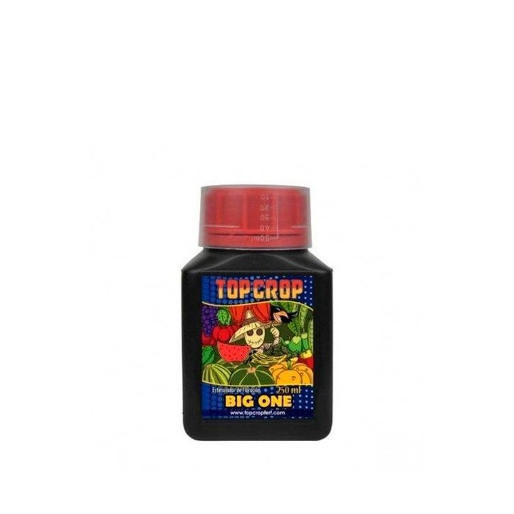 BIGONE TOP CROP MATILLAPLANT