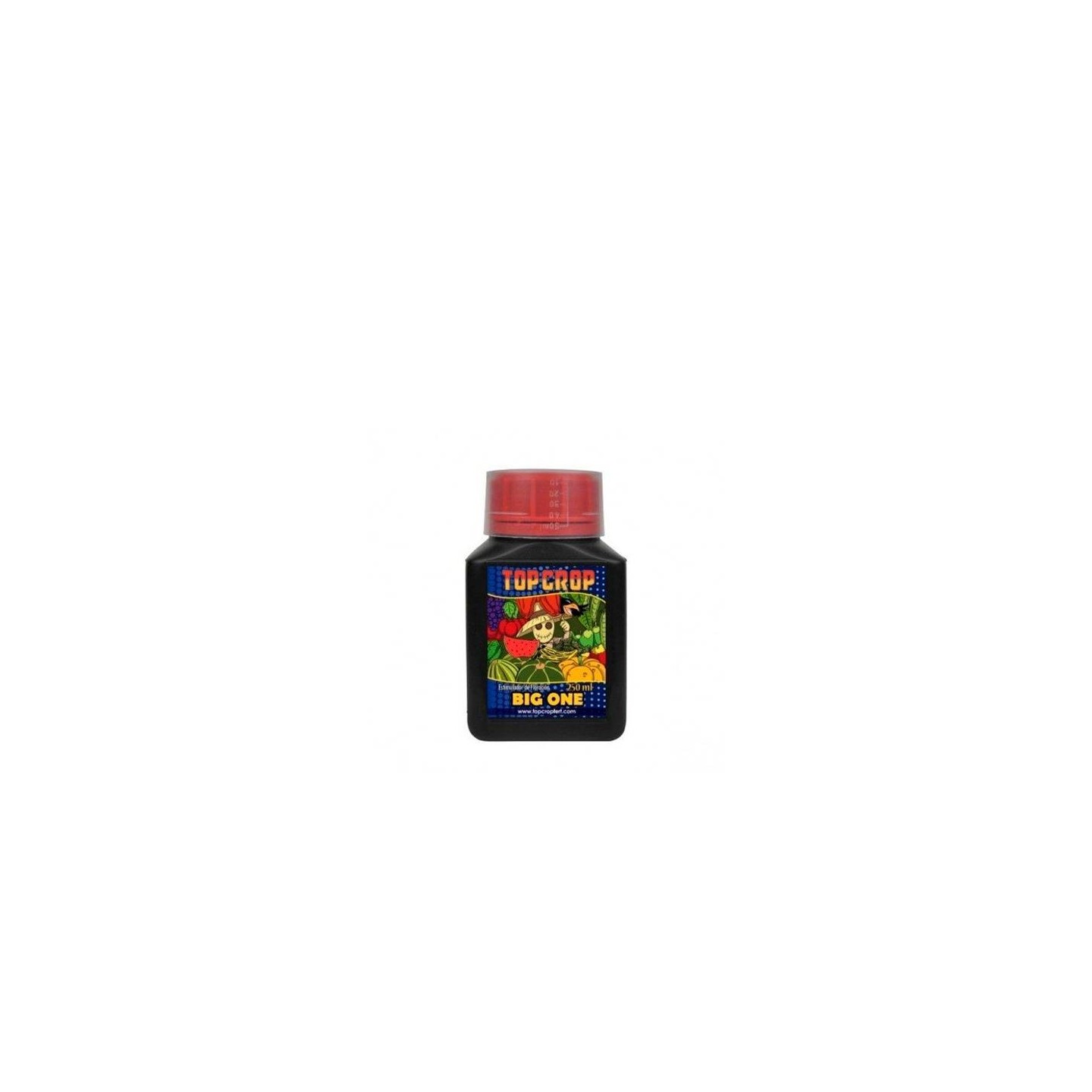 BIGONE TOP CROP MATILLAPLANT