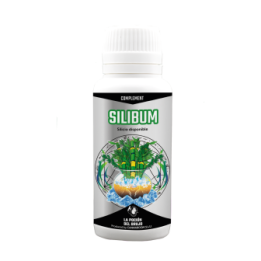 SILIBUM CANNABOOM MATILLAPLANT
