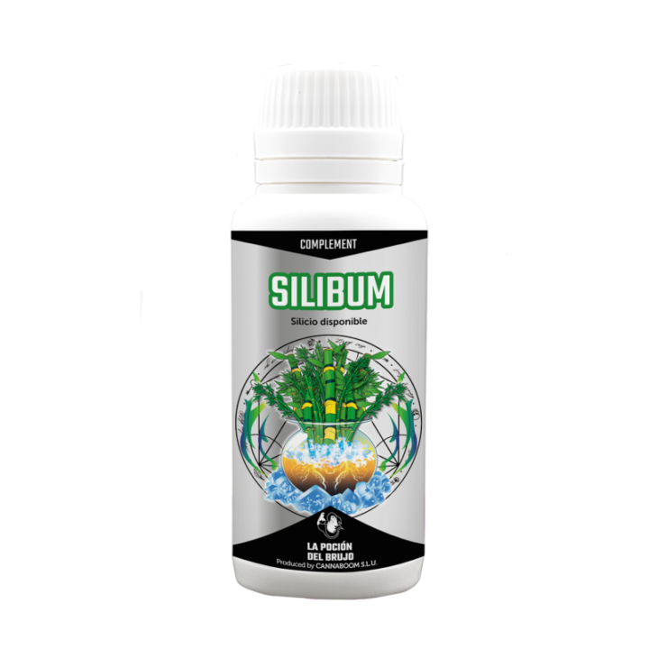 SILIBUM CANNABOOM MATILLAPLANT