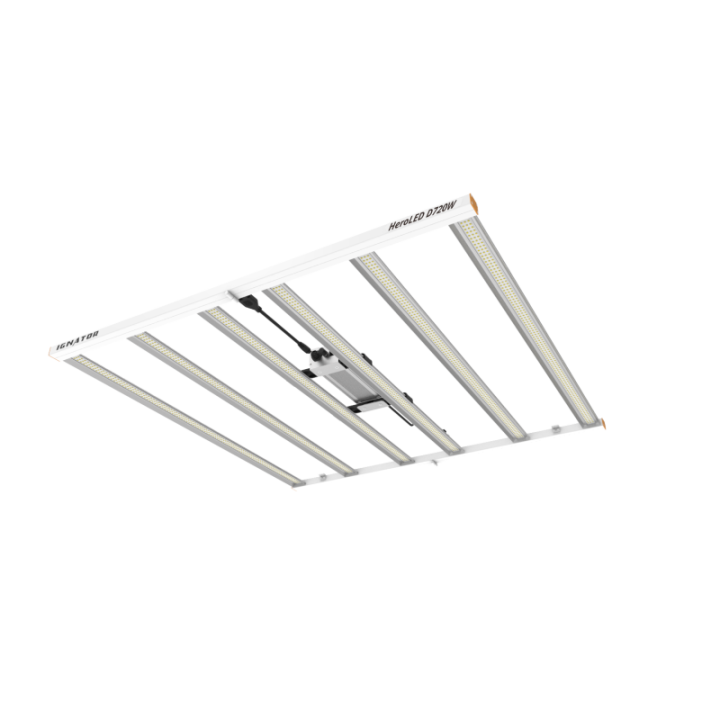 Ignator D720 Driver Externo
