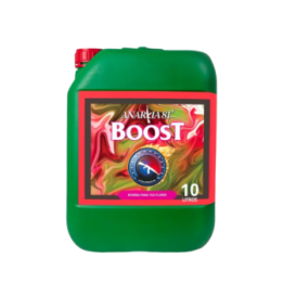 Anarkia Boost Acelerador