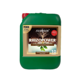 Anarkia Rhizopower