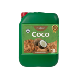 Anarkia Coco A + B