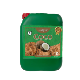 ANARKIA COCO B MATILLAPLANT