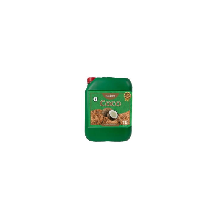 ANARKIA COCO B MATILLAPLANT