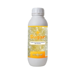 anarkia more sugar matillaplant