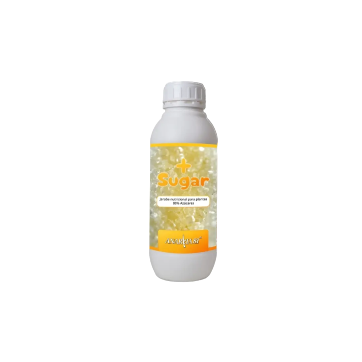 anarkia more sugar matillaplant