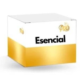 Anarkia Esencial