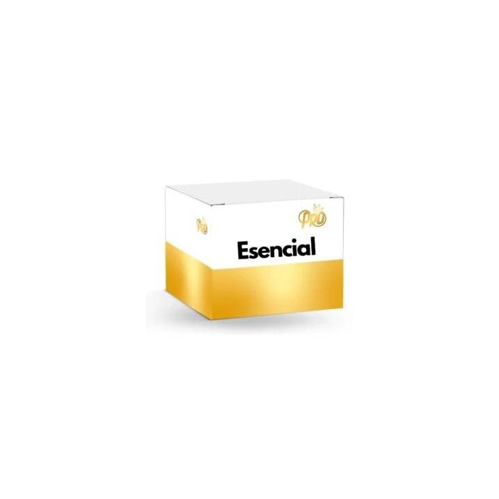 Anarkia Esencial