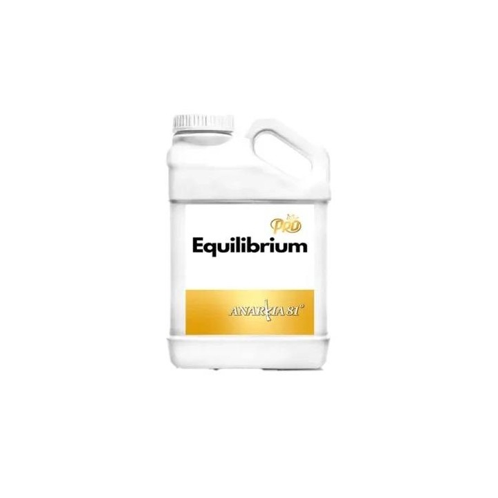 Anarkia Equilibrium