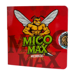 Mico Max Golden Lion