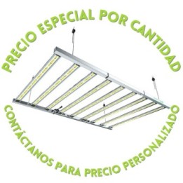 LAZERLITE PRO 1080W 3.1
