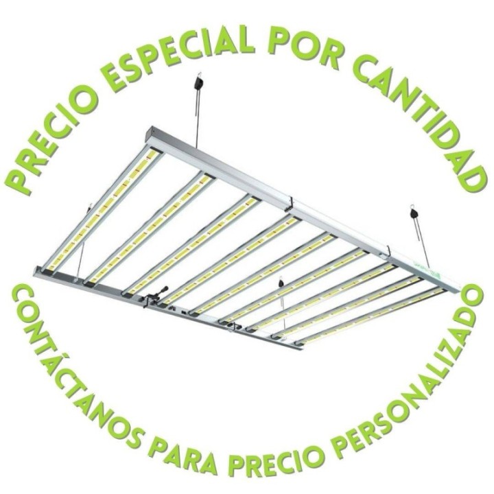 LAZERLITE PRO 1080W 3.1