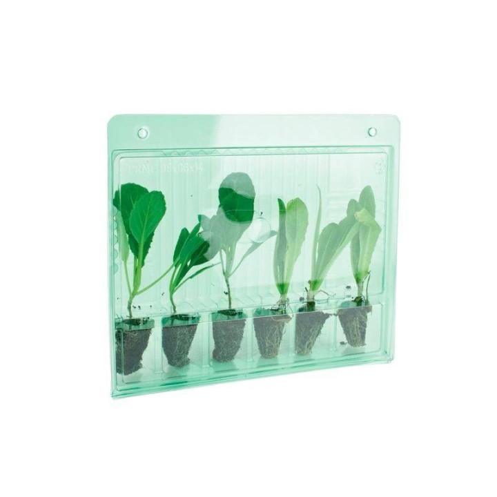 Funda Transporte 6 Esquejes