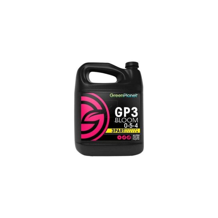 GP3 Bloom