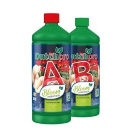 Bloom A + B Coco DutchPro