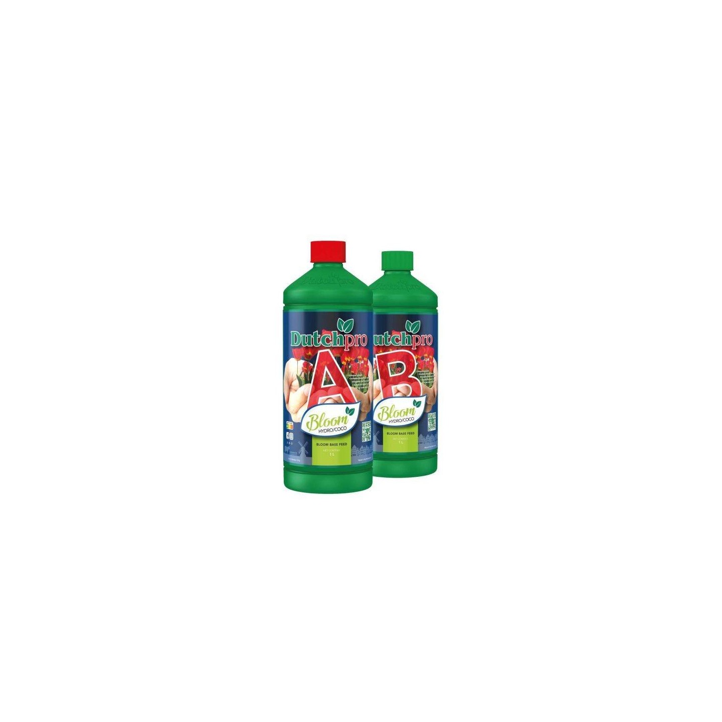 Bloom A + B Coco DutchPro