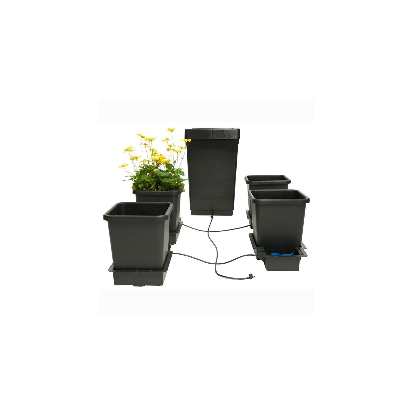 Autopot 4 Pot (15 Ltr) + Deposito