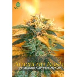 American Kush Regular de 
